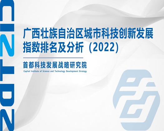 操嫩B网【成果发布】广西壮族自治区城市科技创新发展指数排名及分析（2022）